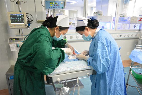 罗力静护士长与助手为早产儿行PICC置管术